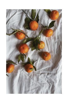 Poster Sinaasappels met groene bladeren