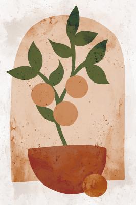 Poster Sinaasappelboompje in pot