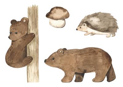 Sticker Aquarel bosdieren