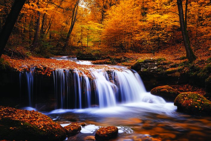 Fotobehang Herfstbos met waterval, schilderachtig landschap