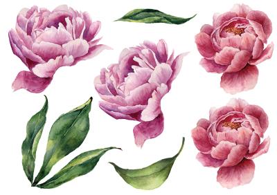 Sticker Roze pioenrozen bloemen en groene bladeren