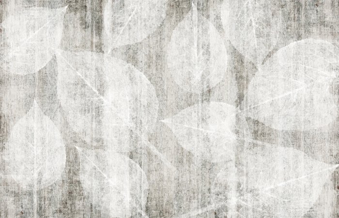 Fotobehang Subtiele bladeren op een kartonnen achtergrond in grijstinten