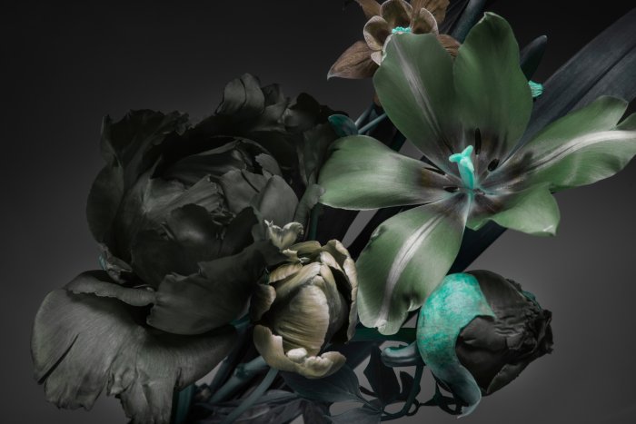 Fotobehang Lelies en pioenrozen op een donkere achtergrond