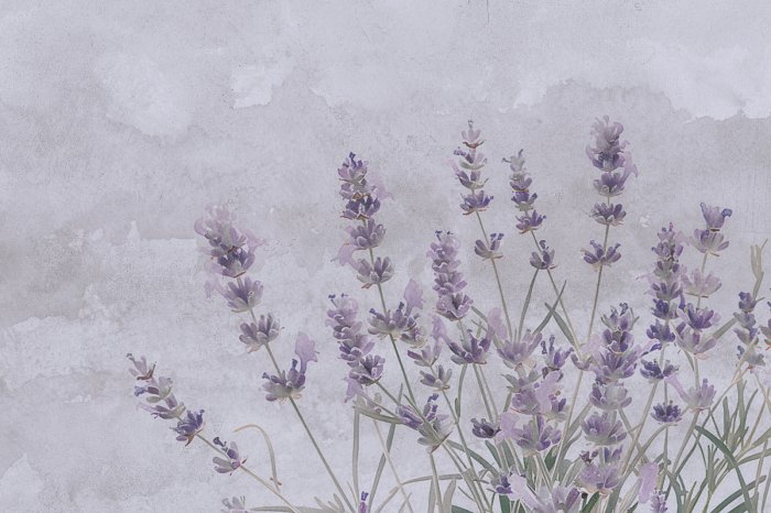Fotobehang Aquarel lavendelbloemen op beton