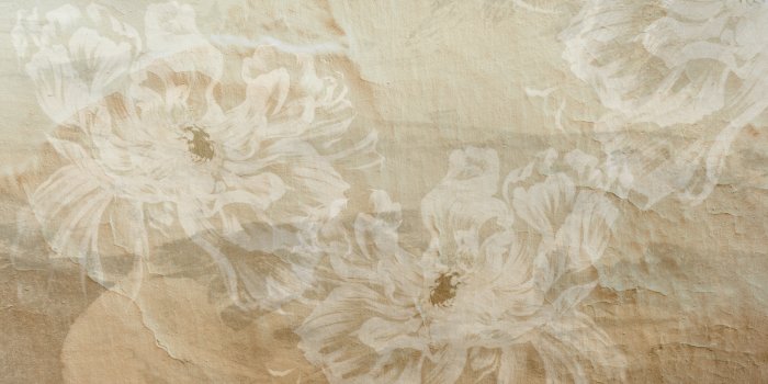 Fotobehang Felgekleurde pioenrozen