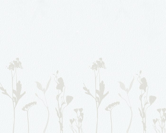 Fotobehang Delicate wilde bloemen in een minimalistische stijl