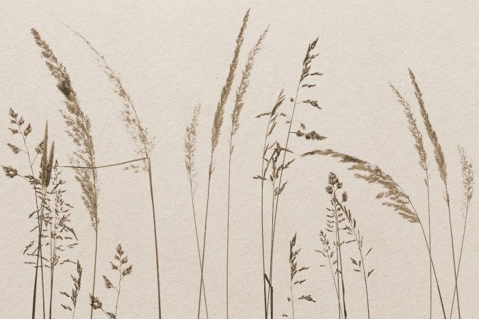 Fotobehang Grassen in minimalistische stijl