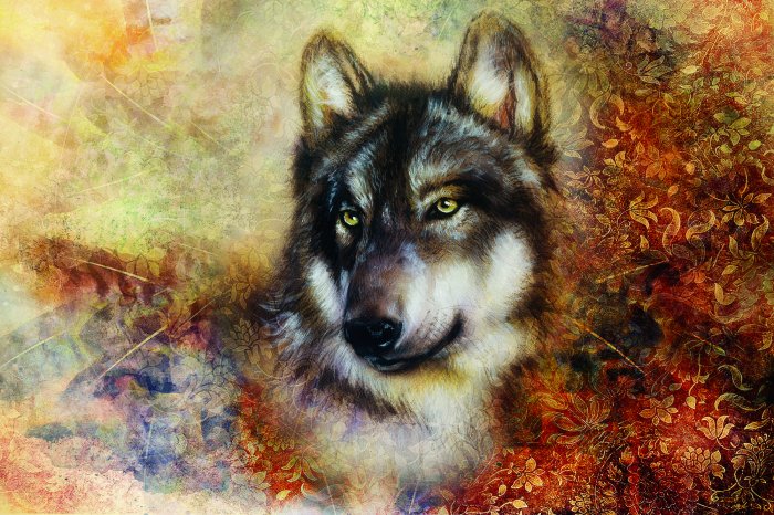 Fotobehang Artistiek portret van een wolf met een decoratieve achtergrond