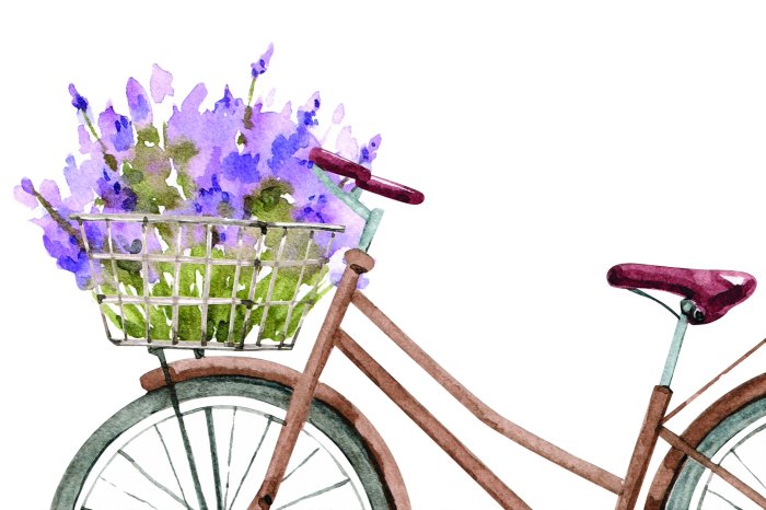 Fotobehang Een beschilderde fiets met een rieten mand vol heide