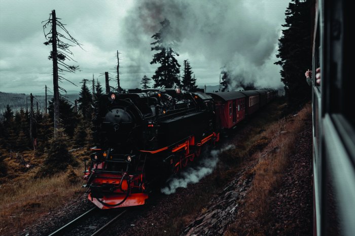 Fotobehang Een trein op een spoorlijn door een dicht bos