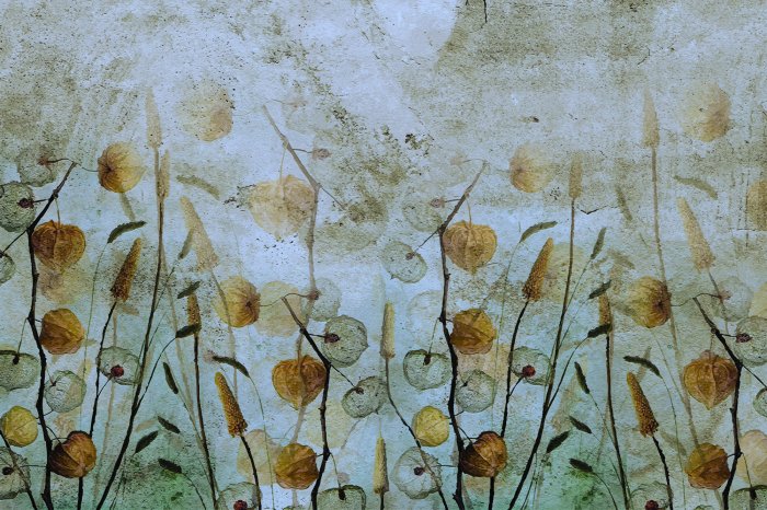 Fotobehang Herfstweide met wilde planten