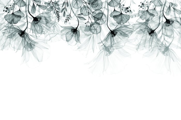 Fotobehang Subtiele bloemen in grijstinten