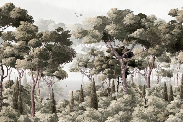 Fotobehang Een bos met weelderige vegetatie en struiken