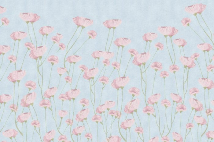 Fotobehang Delicate klaprozen op een blauwe achtergrond