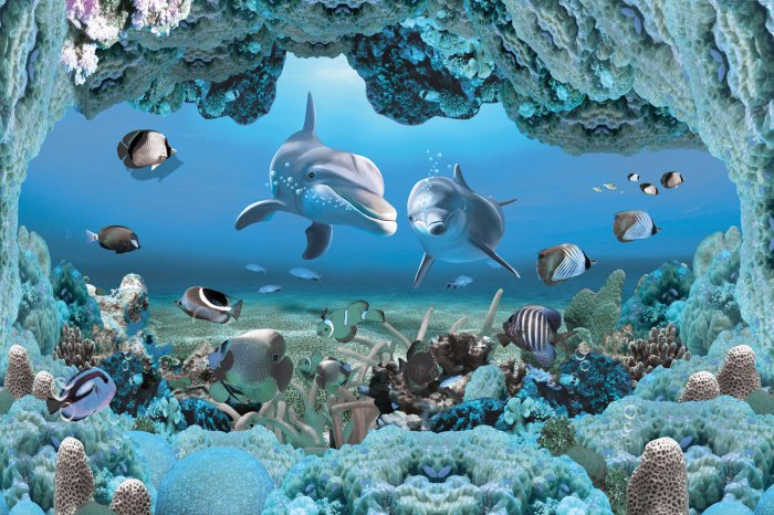 Fotobehang Dolfijnen en vissen tussen het koraalrif