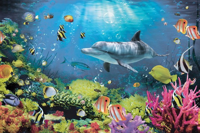 Fotobehang Onderwaterwereld met rif en zeevissen