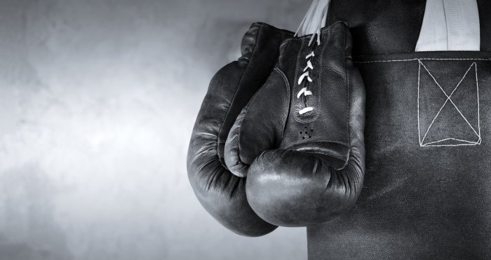 Fotobehang Bokshandschoenen