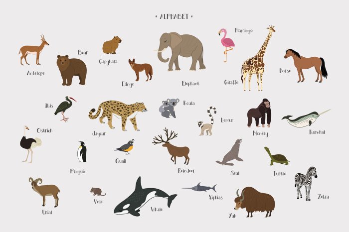 Fotobehang Alfabet en dieren in kinderstijl