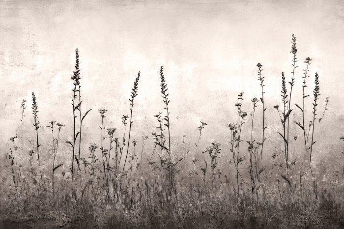 Fotobehang Een wilde weide geschilderd op een betonnen textuur