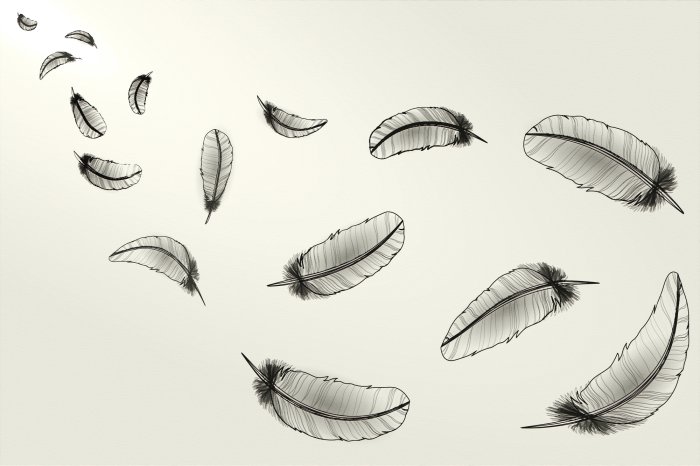 Fotobehang Zwarte veren op een lichte achtergrond