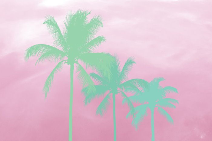 Fotobehang Schaduwrijke palmbomen op een pastelroze achtergrond