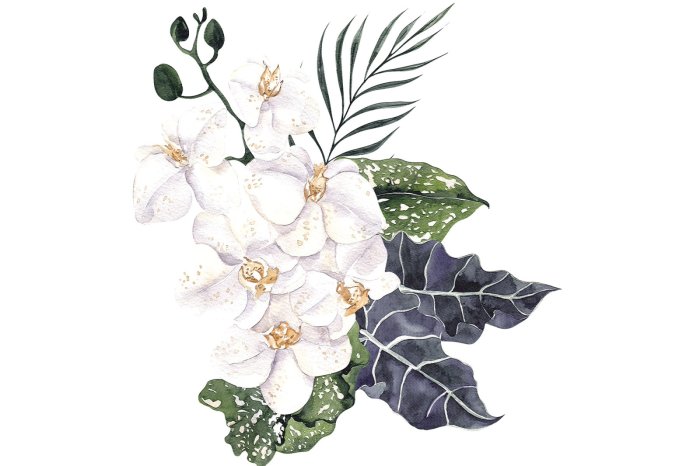 Fotobehang Witte orchideeën tussen groene bladeren