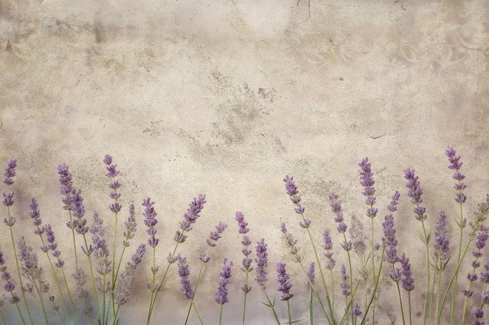 Fotobehang Lavendel op een beige muur