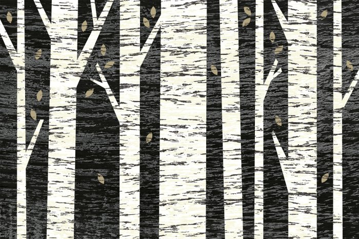 Fotobehang Berkenbomen op een zwarte achtergrondillustratie