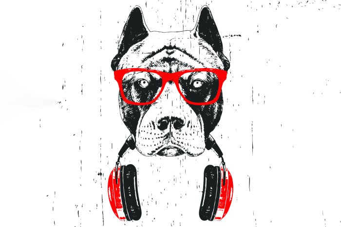 Fotobehang Een hond met een rode bril en een koptelefoon