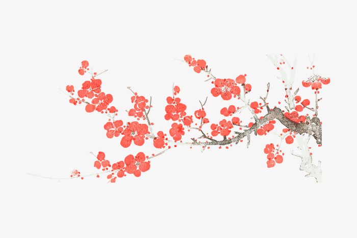 Fotobehang Rode kersenbloesems op een tak op een witte achtergrond