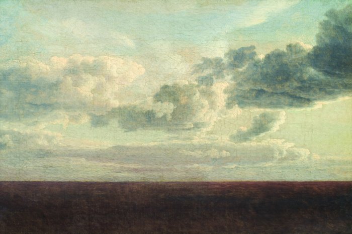 Fotobehang Een wilde weide tegen een lucht met witte wolken