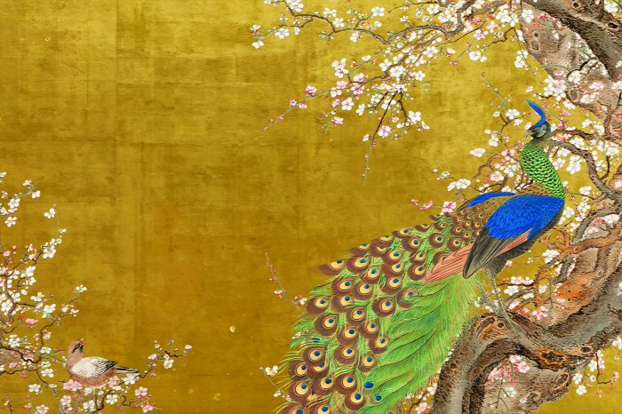 Fotobehang Een charmante pauw tussen de kersenbloesems