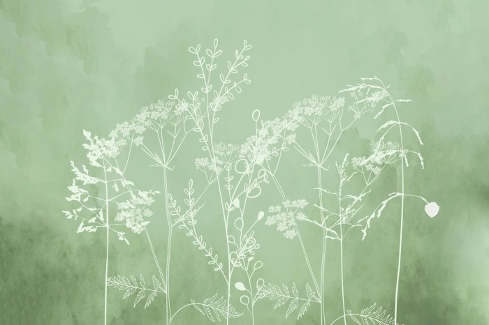 Fotobehang Subtiele witte grassen op een groene achtergrond