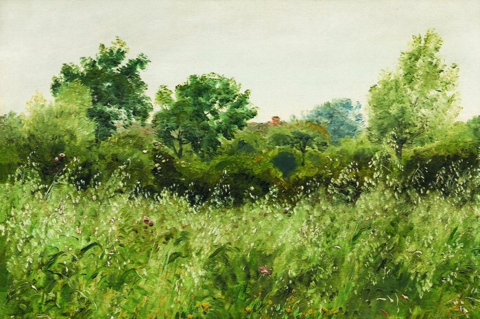 Fotobehang Geschilderd bospatroon met bomen en grassen