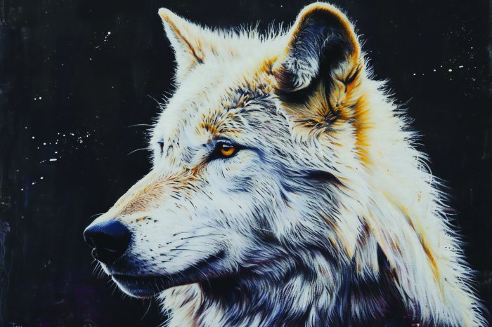 Fotobehang Portret van een wolf met een contrasterende donkere achtergrond