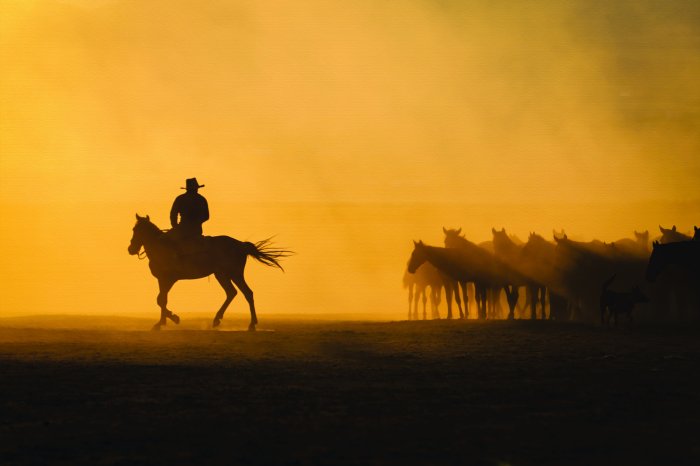 Fotobehang Een reiziger met paarden die de woestijn doorkruist