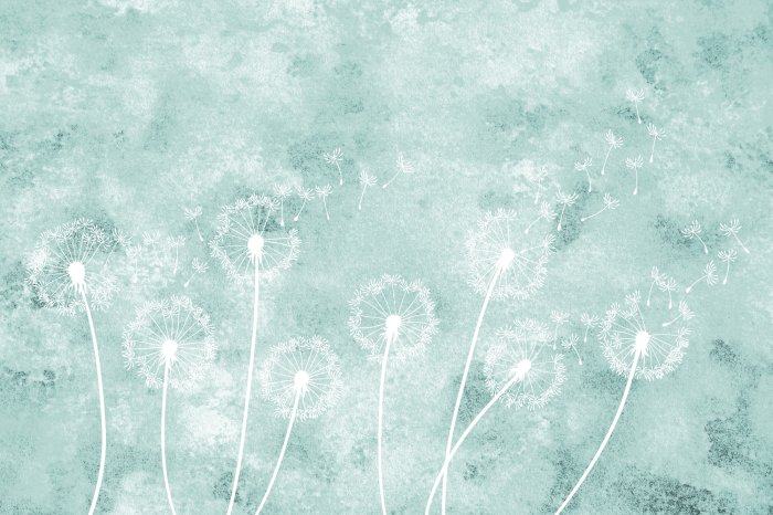 Fotobehang Delicate paardenbloemen op een blauwe achtergrond