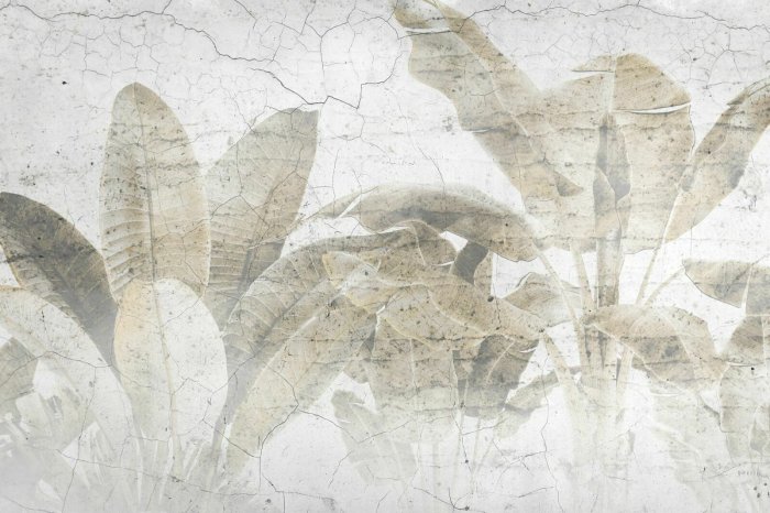 Fotobehang Palmbladeren op een betonnen muur