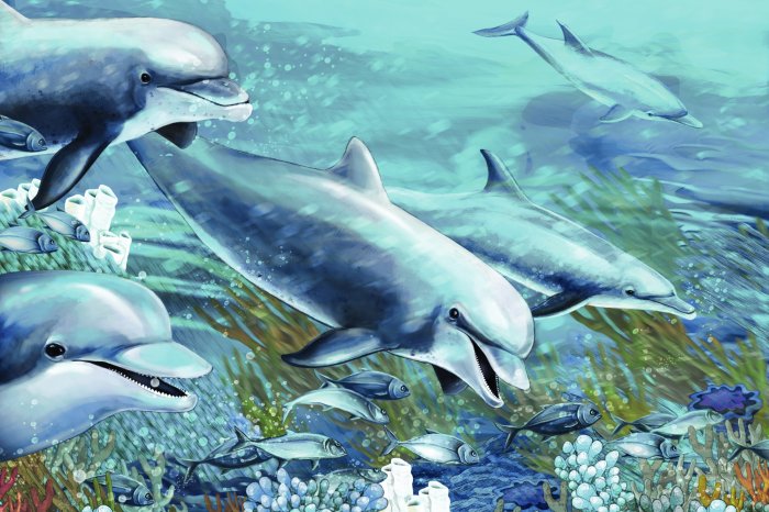 Fotobehang Dolfijnen zwemmen tussen koraalriffen