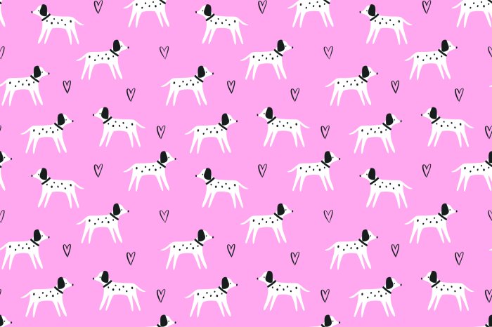 Fotobehang Dalmatiërs in een grappige opstelling