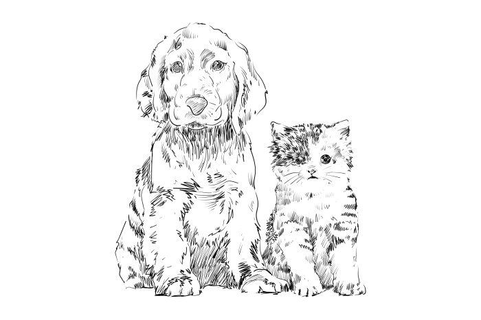 Fotobehang Schetstekening van een hond en een kat