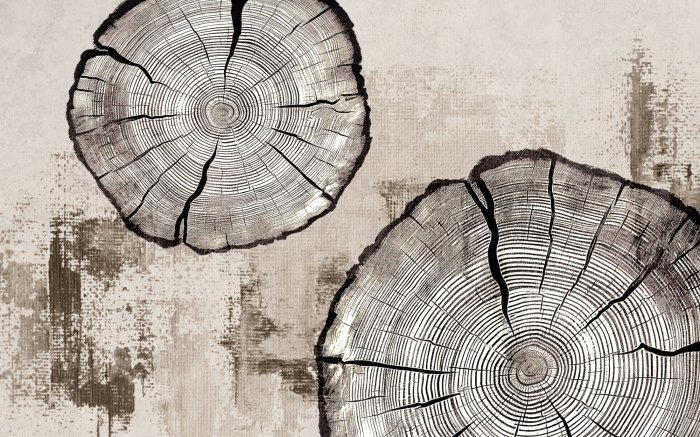 Fotobehang Baumstammscheiben auf beiger Textur