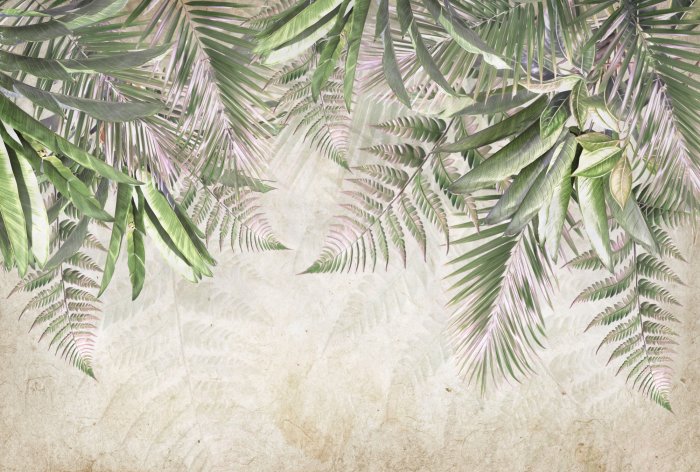 Fotobehang Tropische Palmfarnblätter, die von oben auf Betonhintergrund hängen