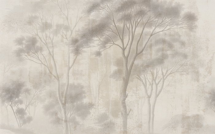 Fotobehang Boslandschap in zacht licht