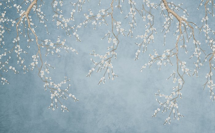 Fotobehang Delicate kersenbloesems op een blauwe achtergrond