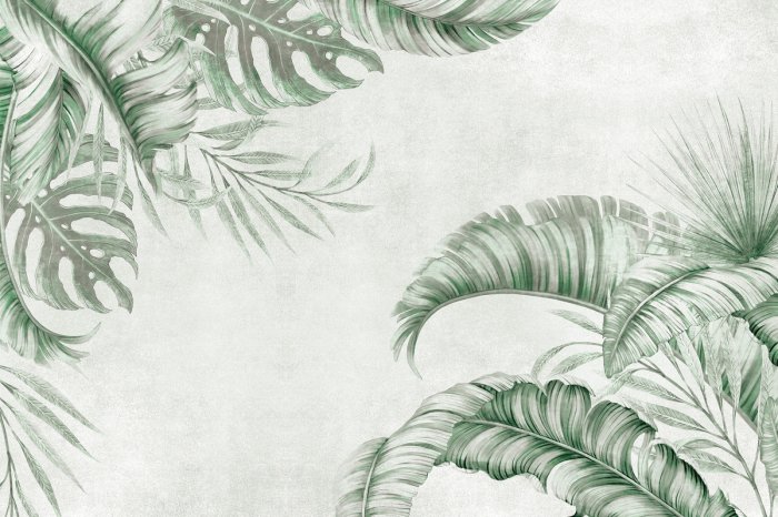 Fotobehang Palm- en monsterabladeren