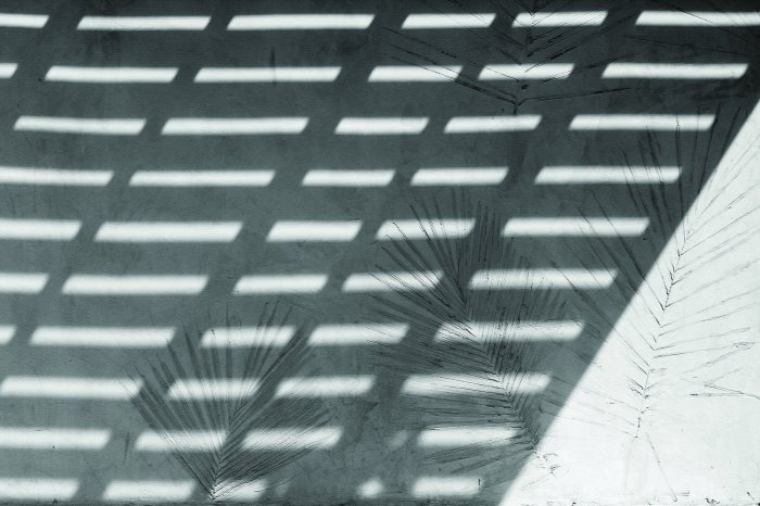 Fotobehang De schaduw van palmbomen weerspiegeld op de lichtmuur