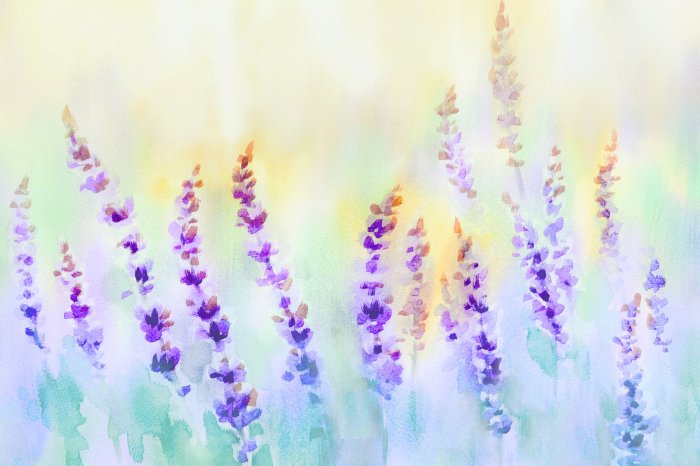 Fotobehang Aquarel weide met lavendelbloemen