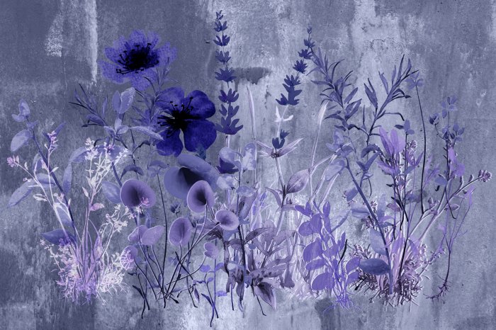 Fotobehang Verschillende soorten paarse bloemen met lavendel