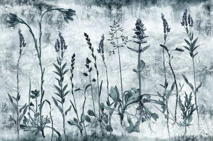 Fotobehang Zwart-witte wilde bloemen met lavendel